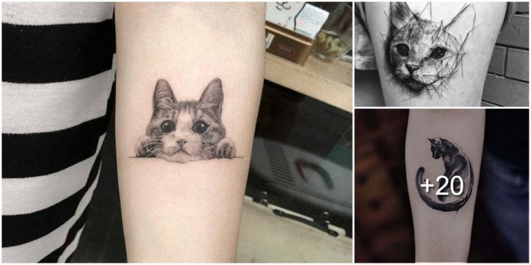 Lee más sobre el artículo Los Mejores Diseños de Tatuajes de Gatos