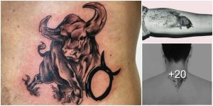 Lee más sobre el artículo Tatuajes de Toros