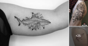 Lee más sobre el artículo Fantásticos Tatuajes de Tiburones