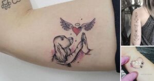 Lee más sobre el artículo 27 Increíbles Ideas de Tatuajes para Amantes de los Perritos